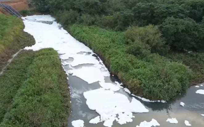 Espuma em rio preocupa moradores de Novo Hamburgo; fenômeno pode ter sido causado por detergente na água, diz prefeitura