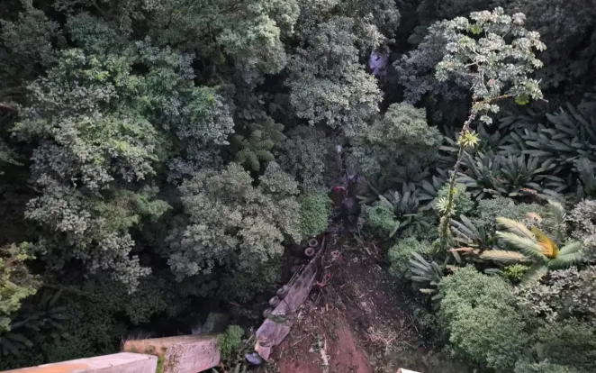 Caminhão cai de viaduto e para cerca de 75 metros para baixo da pista na BR-277; motorista sobreviveu e passageira morreu