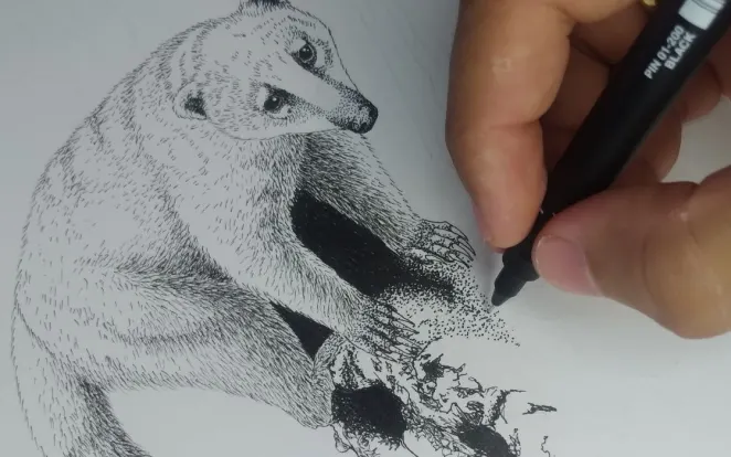 De fã de TV a ilustrador: biólogo transforma paixão pelos animais em arte no Brasil