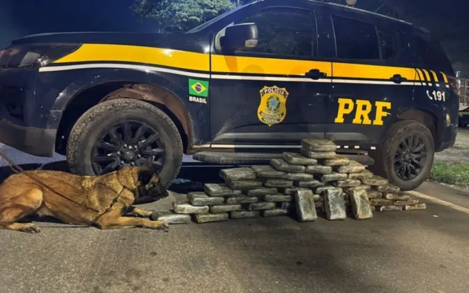 Cerca de 50 kg de maconha são apreendidos na Via Dutra, em Piraí
