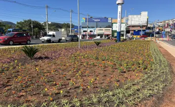 Rotatória do Ginásio do Polvilho recebe novo paisagismo e começa a ganhar nova aparência